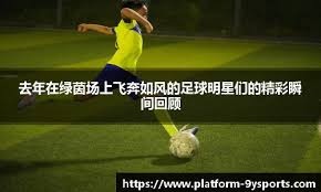 博彩行业进入成熟稳定增长新阶段